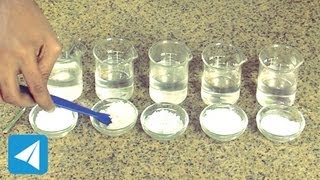 Compare solubility of salt sugar and chalk  Solutions  Chemistry [upl. by Lehmann610]