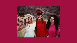 the slits  typical girls slowed  reverb [upl. by Kloster]