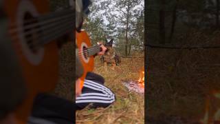 Bushcraft and guitar playing Malagueña 🌲🔥🪕 shorts guitarfingerstyle tab [upl. by Haldas]