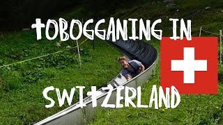 Tobogganing in Switzerland [upl. by Martguerita816]