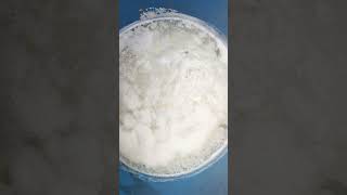 Solution is ready TRICHODERMA dkc trichoderma dkc WhatsApp 9991477775 [upl. by Aneetsirhc]