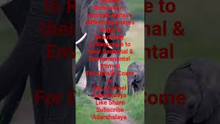 Exploring the Curious World of Animal Behavior shorts youtubeshorts mscviral ytshortstrending [upl. by Reinert]