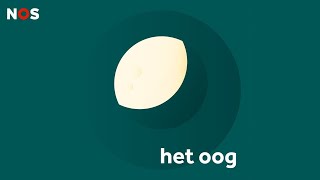 LIVE voorprogramma NOS Met het Oog op Morgen vanuit Leiden  8 oktober 2022  NPO Radio 1 [upl. by Armbrecht]