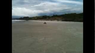 Grass Kart and Drift Trike at the Beach [upl. by Thay]