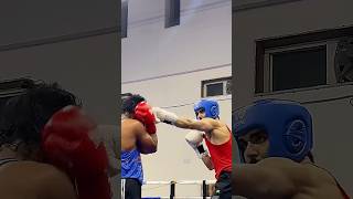 Boxing vs Mma Which is better 🥊 [upl. by Kcirevam]