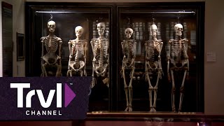 Philadelphias Mutter Museum  Travel Channel [upl. by Durwyn]