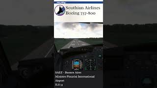 Southian Airlines Virtual Boeing 737800  Landing in Ezeiza shorts boeing737 boeing argentina [upl. by Leland]