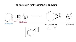 Mechanism halogenation of alkene [upl. by Llevart]