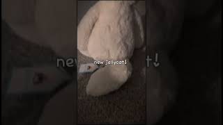 new jellycat jellycat stuffedanimals animal articfox fyp fypシ゚viral fypyoutube [upl. by Ayk47]