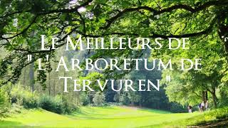 Tervuren  Le Meilleurs de l Arboretum [upl. by Otsirc26]