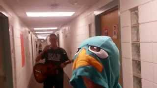 Phineas and Ferb Theme Song  Acoustic Cover [upl. by Hausmann]