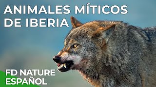 Animales Míticos de Iberia  Free Documentary Nature Español [upl. by Atig456]