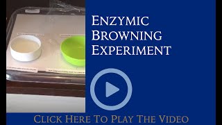 Mrs Portch  Enzymic Browning Experiment [upl. by Skyla]