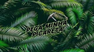 PEGA MINHA PICARETA ⛏️  DEEJAY TELIO  RENNAN DA PENHA  SAVANAH [upl. by Carlson]