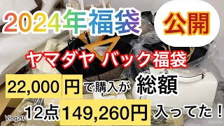 2024年福袋公開。ヤマダヤバック福袋、税込22000円、12点総額149260円ぶん入っていました。 [upl. by Anneis624]