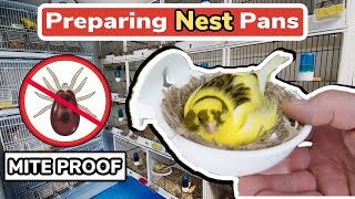 How to Prepare Canary Nest Pans  Mite Proof amp Using Carbolic Soap [upl. by Naols]