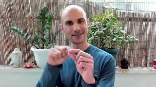 Introducing Samadhi through breath  Daily Meditation with Yahel Avigur [upl. by Junna337]