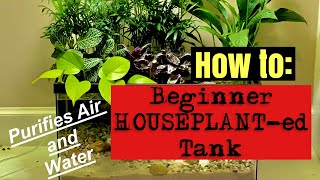 🪴🐟🪴‼️How to Build a Beginner Houseplanted Fish Tank RIPARIUM🪴🐟🪴‼️ [upl. by Prendergast]