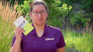 How to use the RESCUE Yellowjacket Repellent DecoShield® [upl. by Netsyrk]