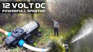 Powerful Charging Sprayer Pump For Agriculture Using 12 Volt DC Motor [upl. by Melia]