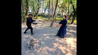 Katana vs Rapier esgrima martialarts [upl. by Archibaldo251]