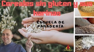 ✅7 Tipos de Harinas panificables SIN GLUTEN ¡Ideal para Celiacos [upl. by Anilev]