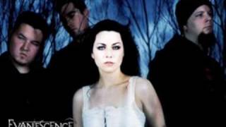 My Tourniquet  Evanescence Lyrics [upl. by Annauqaj547]