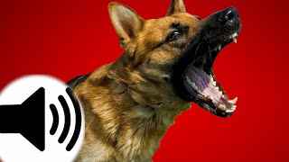 Dogs Barking Sound Effect [upl. by Gordan]