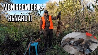 Ma première battue au gros gibier 2023  je tire un renard [upl. by Aicilav]