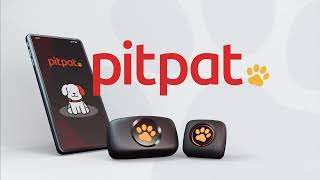 PitPat Dog GPS Tracker 2022 [upl. by Hniht997]