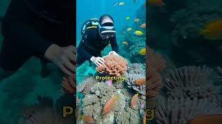 Why Coral Reefs Are The MOST IMPORTANT Ecosystem [upl. by Polky]