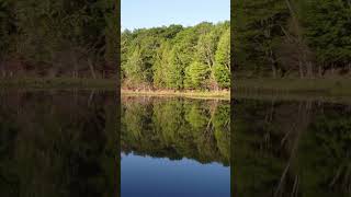 Northwoods Wisconsin before the leaves change color [upl. by Durr]