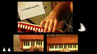 Yann Tiersen  La Redécouverte  jaymar toy piano  melodica Vladimir Yatsina Cover [upl. by Platas]