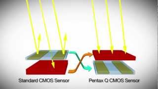 Q Sensor Technology [upl. by Kelly]