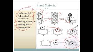 Protoplast Culture by Prof Sonali Saste [upl. by Edholm]