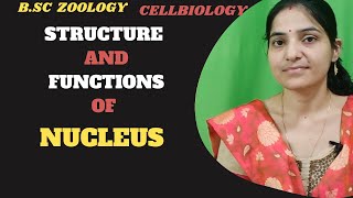 Nucleus BSc 1st yearNucleus Structure And FunctionNucleusNucleolouscellbiology nucleus [upl. by Isacco]