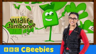 Colourblocks Medley with Puja  CBeebies Prom  Wildlife Jamboree 2024 [upl. by Aileduab]