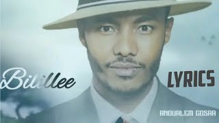 Bilillee  Andualem Gosa  New Oromo Music Lyric Video 2024 [upl. by Airakaz]