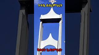 የካ ደብረምህረት ቅድስት ኪዳነምህረት orthodox Orthodshorts [upl. by Ariamo]