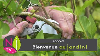 CONSEILS POUR LA TAILLE DES ARBUSTES AU PRINTEMPS Paroles d’Experts podcast N°2 [upl. by Nedia738]