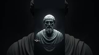 PLATO  Incredible Life Changing Quotes Stoicism Part 1 motivation quotes [upl. by Redienhcs]