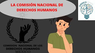 Entrevistas de derechos humanos [upl. by Kelwin]