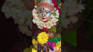 Amavasya diwali Kedara Gowri puja viralvideos viralshort viralvideo viralshorts trending [upl. by Yerffoej]