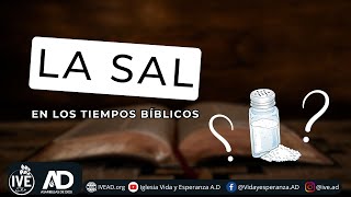 🔴 La sal en los tiempos biblicos  Servicio Dominical [upl. by Lrad]