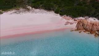 spiaggia rosa pink beach  budelli arcipelago di la maddalena sardinia Italy [upl. by Ttsepmet]