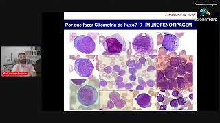 Citometria de Fluxo na hematologia [upl. by Campy]