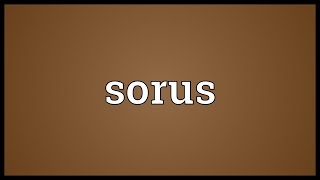 Sorus Meaning [upl. by Vlada]