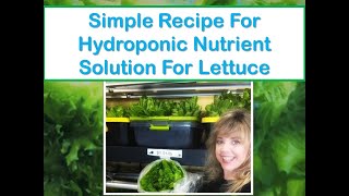 Simple Recipe For Hydroponic Nutrient Solution For Lettuce [upl. by Akehsar]