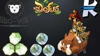 DOFUS 11000000K15Min Asctuce MonoCompt [upl. by Trebeh]