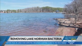 Tuesday meeting will address Lake Norman toxic algae [upl. by Lorena]